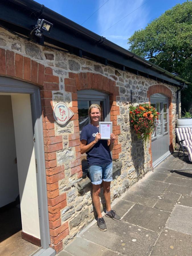 Swallow Cottage At Duffryn Mawr Cottages 한솔 외부 사진