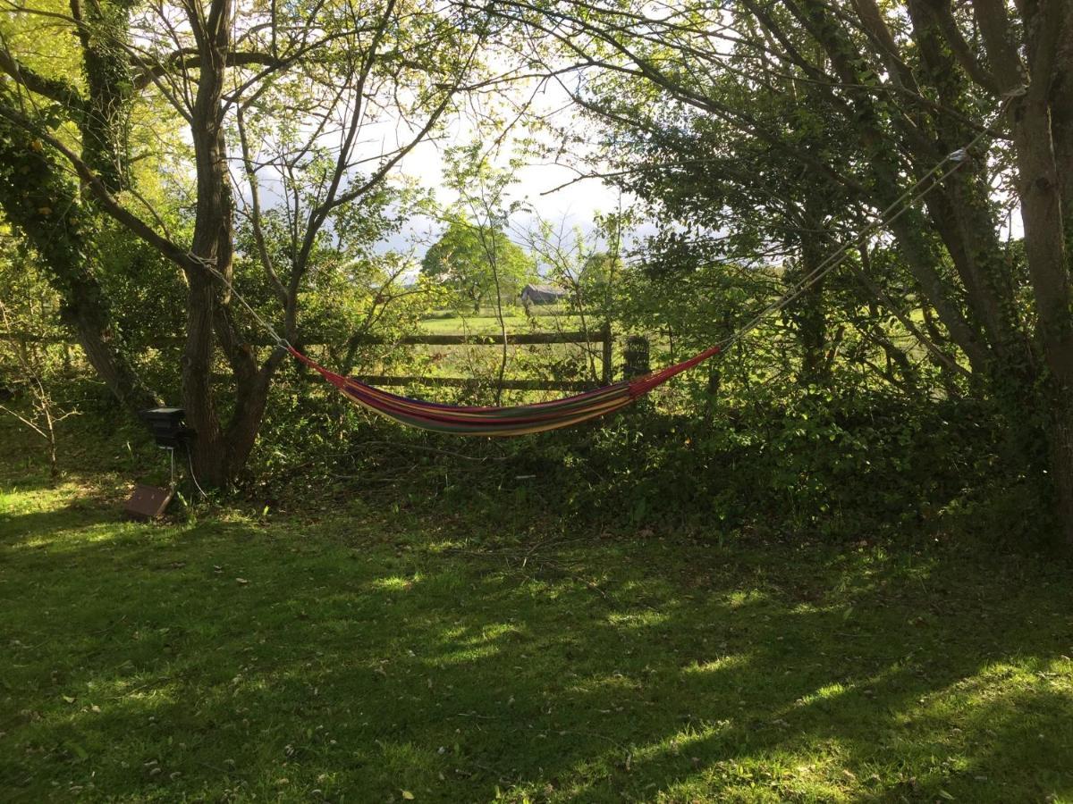 Swallow Cottage At Duffryn Mawr Cottages 한솔 외부 사진
