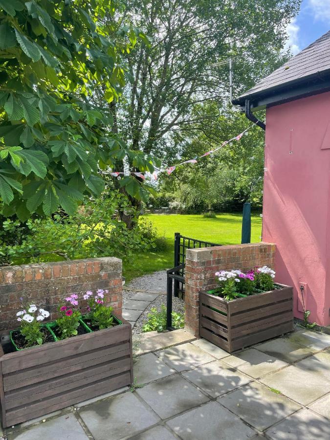 Swallow Cottage At Duffryn Mawr Cottages 한솔 외부 사진