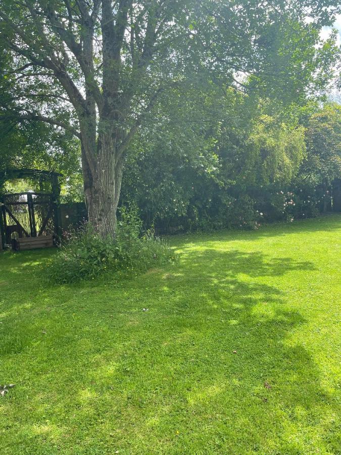 Swallow Cottage At Duffryn Mawr Cottages 한솔 외부 사진
