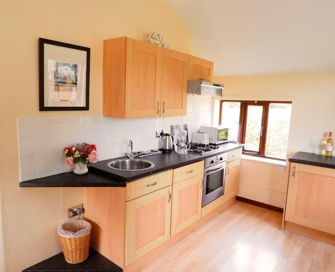 Swallow Cottage At Duffryn Mawr Cottages 한솔 외부 사진