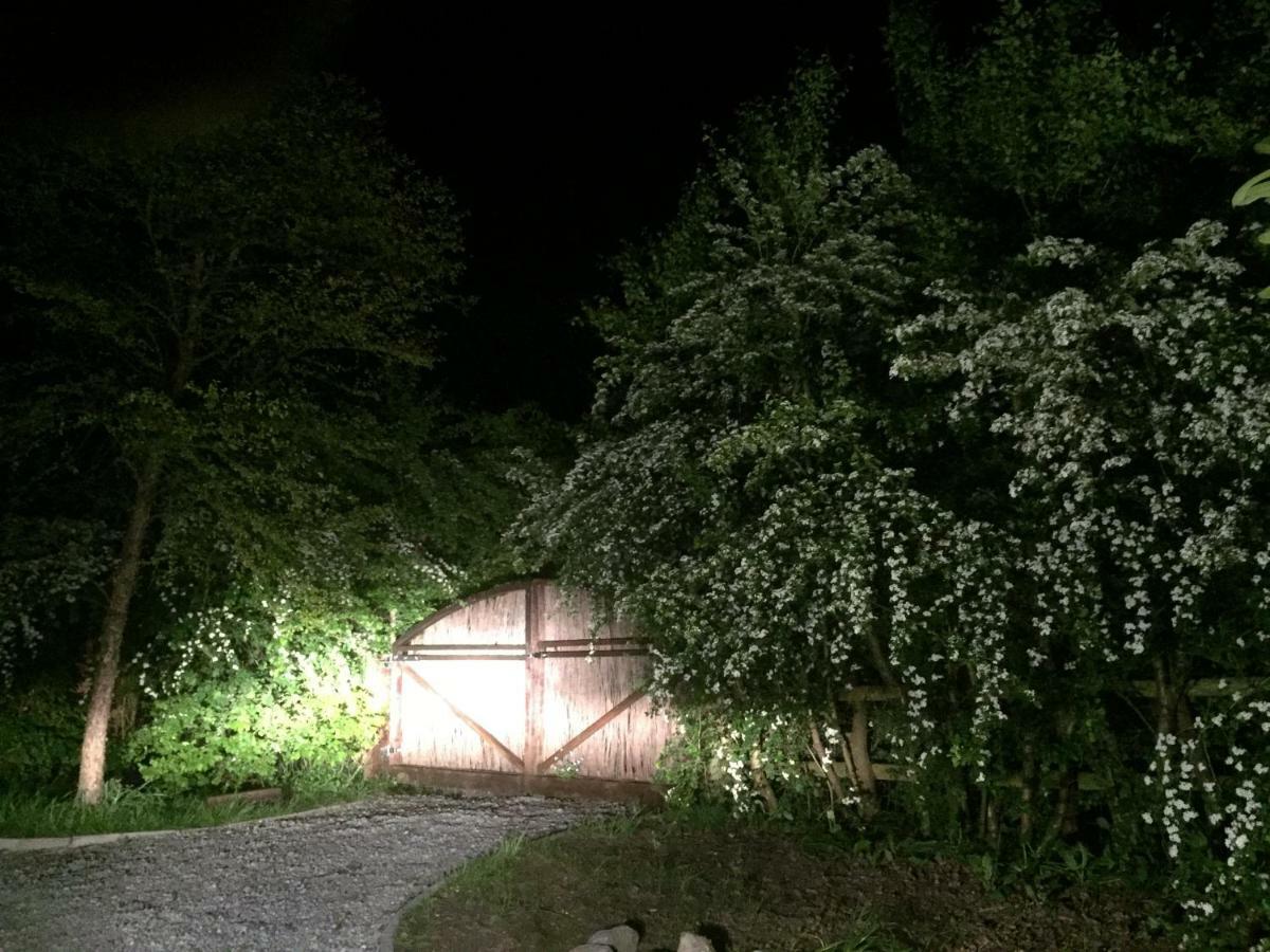 Swallow Cottage At Duffryn Mawr Cottages 한솔 외부 사진