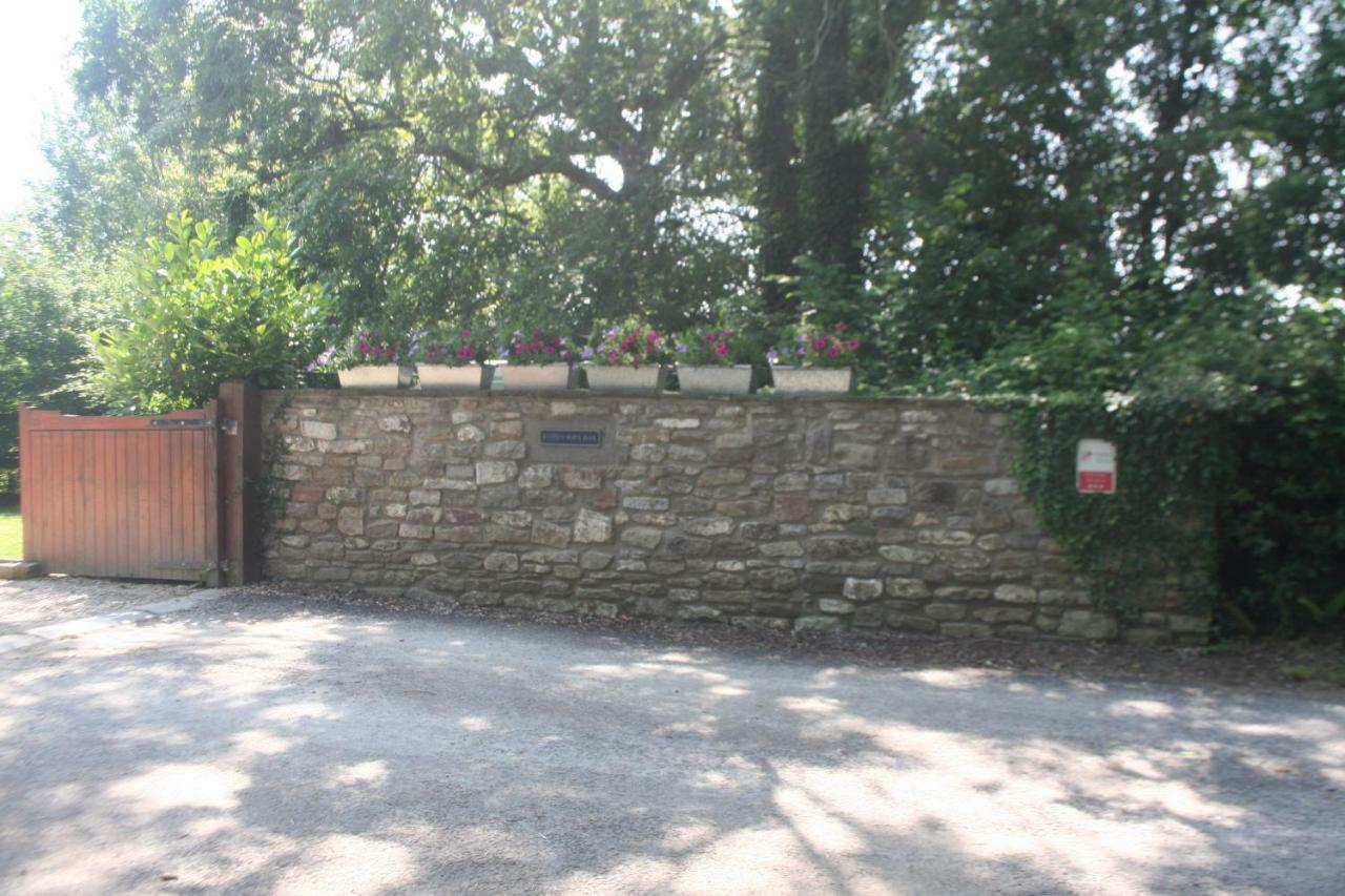 Swallow Cottage At Duffryn Mawr Cottages 한솔 외부 사진